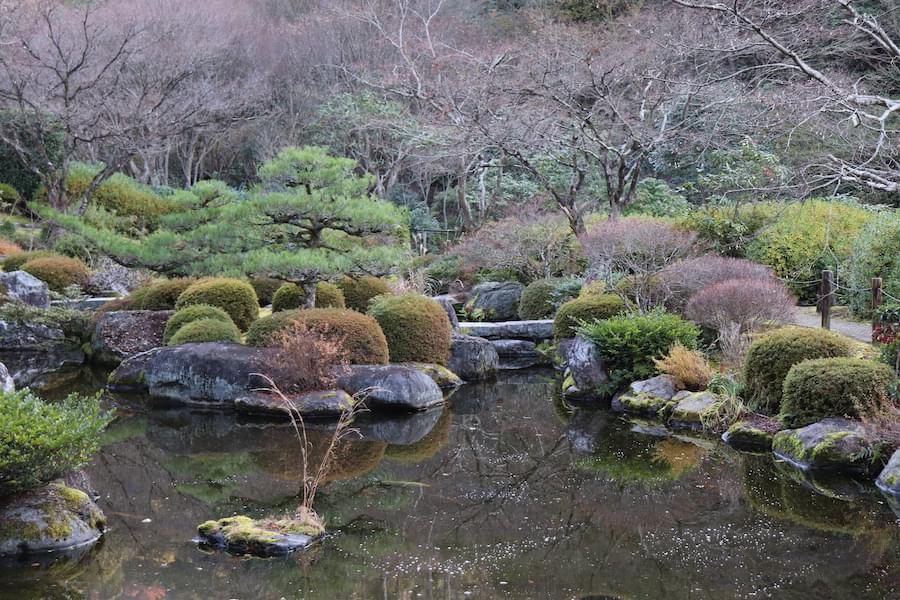 三室戸寺庭園の池泉