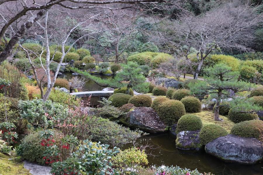 三室戸寺庭園の自然