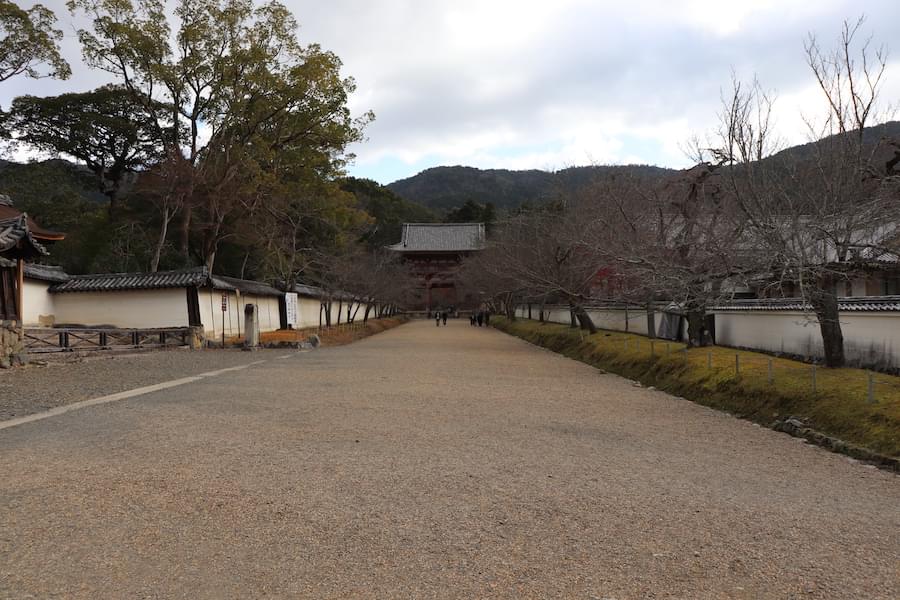 醍醐寺総門から続く道