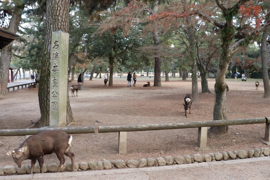 奈良公園の石碑
