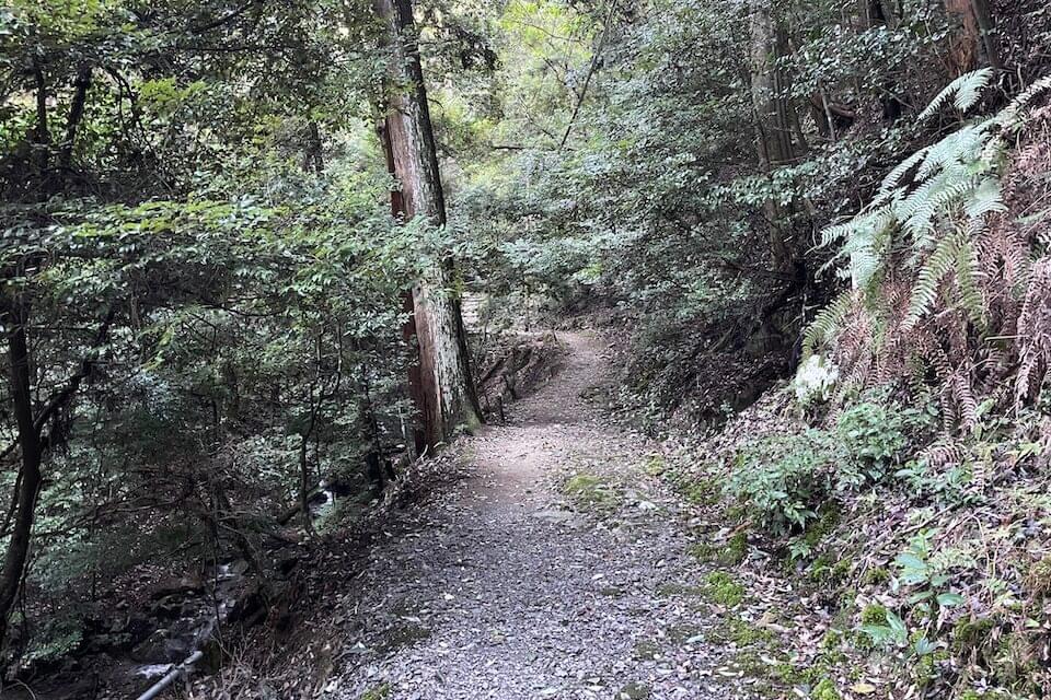 醍醐山の危ない道