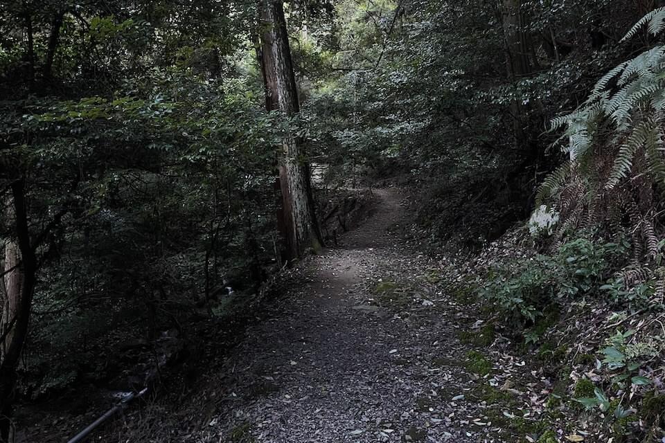 醍醐山の危ない道の実際の暗さ