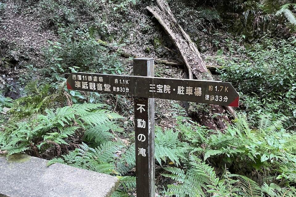 醍醐山の中間地点