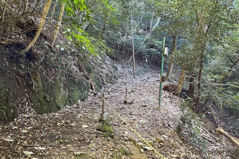 醍醐山の典型的な山道